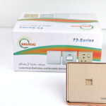 فيش كمبيوتر دهبى